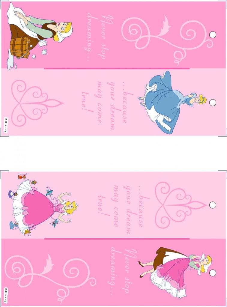 Free Princess Pirate Party Invite Templates 3